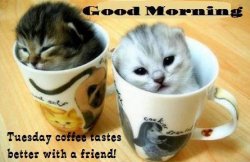 Coffee with friends.jpg