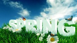 spring.jpg