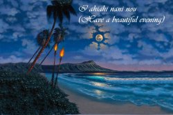 Hawaiian Evening.jpg