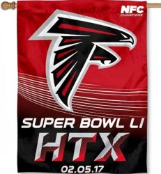 Falcons SB 51.jpg