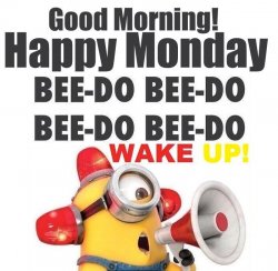 Minion Monday.jpg