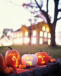 IMG_2186.JPG