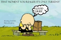 Only Tuesday.jpg