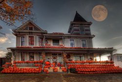 IMG_2471.JPG