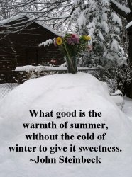 spring-in-the-snow.jpg
