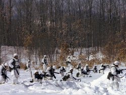 Marines In Winter.jpg