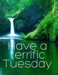 Terrific-Tuesday.jpg