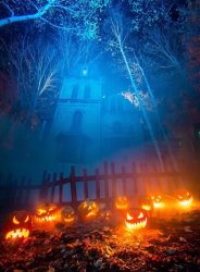 IMG_2646.JPG IMG_2646.JPG