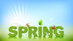 Spring Time.jpg