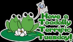 Toadally Terrific tuesday.jpg
