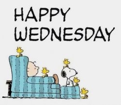 Happy Wednesday.jpg