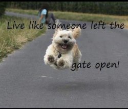 Live it up!.jpg