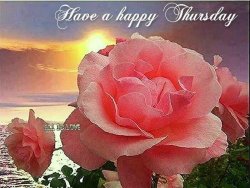 Happy-Thursday.jpg