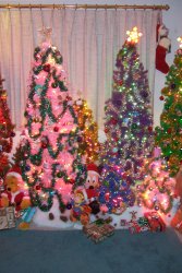 Christmas 2.JPG