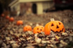 IMG_2834.jpg