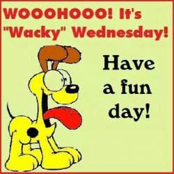 Odie Wednesday.jpg