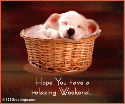 Relaxing Weekend.gif