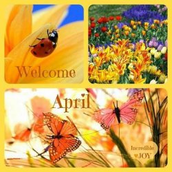 Welcome-April.jpg