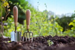 gardening.jpg