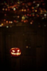 IMG_3010.JPG