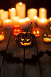 IMG_3218.JPG