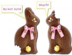 bunnies.jpg