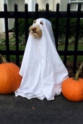 IMG_3243.JPG