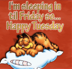 Happy-Tuesday.gif