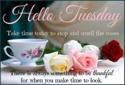 Happy Tuesday.jpg