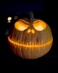 IMG_3484.JPG