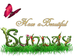Beautiful Sunday.gif