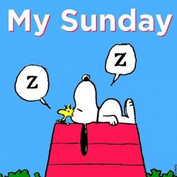 Lazy-Sundays.jpg