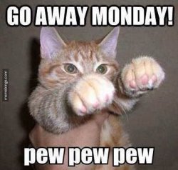 Monday.jpg