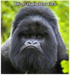 Monday face.jpg