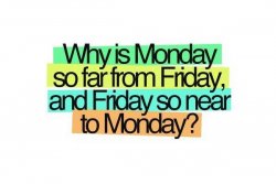 Friday & Monday.jpg