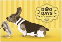 Dog-Days-of-Summer.jpg