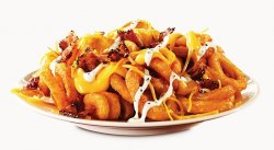 Loaded Curly Fries.jpg