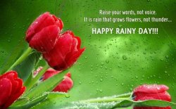Happy Rainy Day.jpg