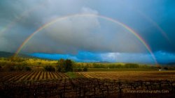 After the Rain.jpg