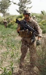 Gunny.jpg