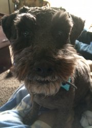 image.jpeg