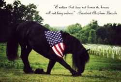Memorial Day.jpg