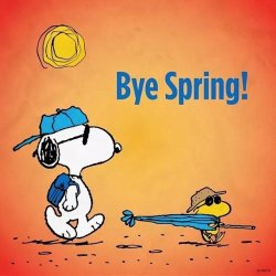 Bye Spring.jpg