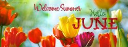 welcome-summer-hello-june.jpg