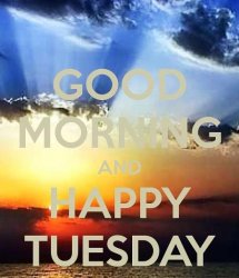 Happy Tuesday.jpg