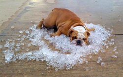 Cooling-down.jpg