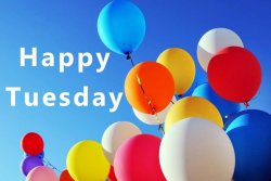 Happy Tuesday.jpg