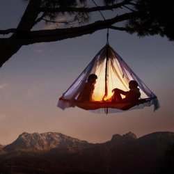 Treetop camping.jpg