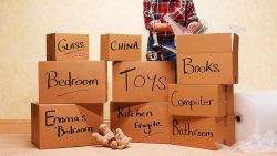 moving-day.jpg