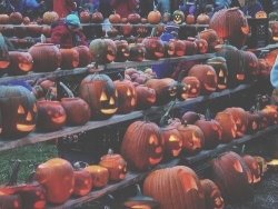 IMG_4319.JPG